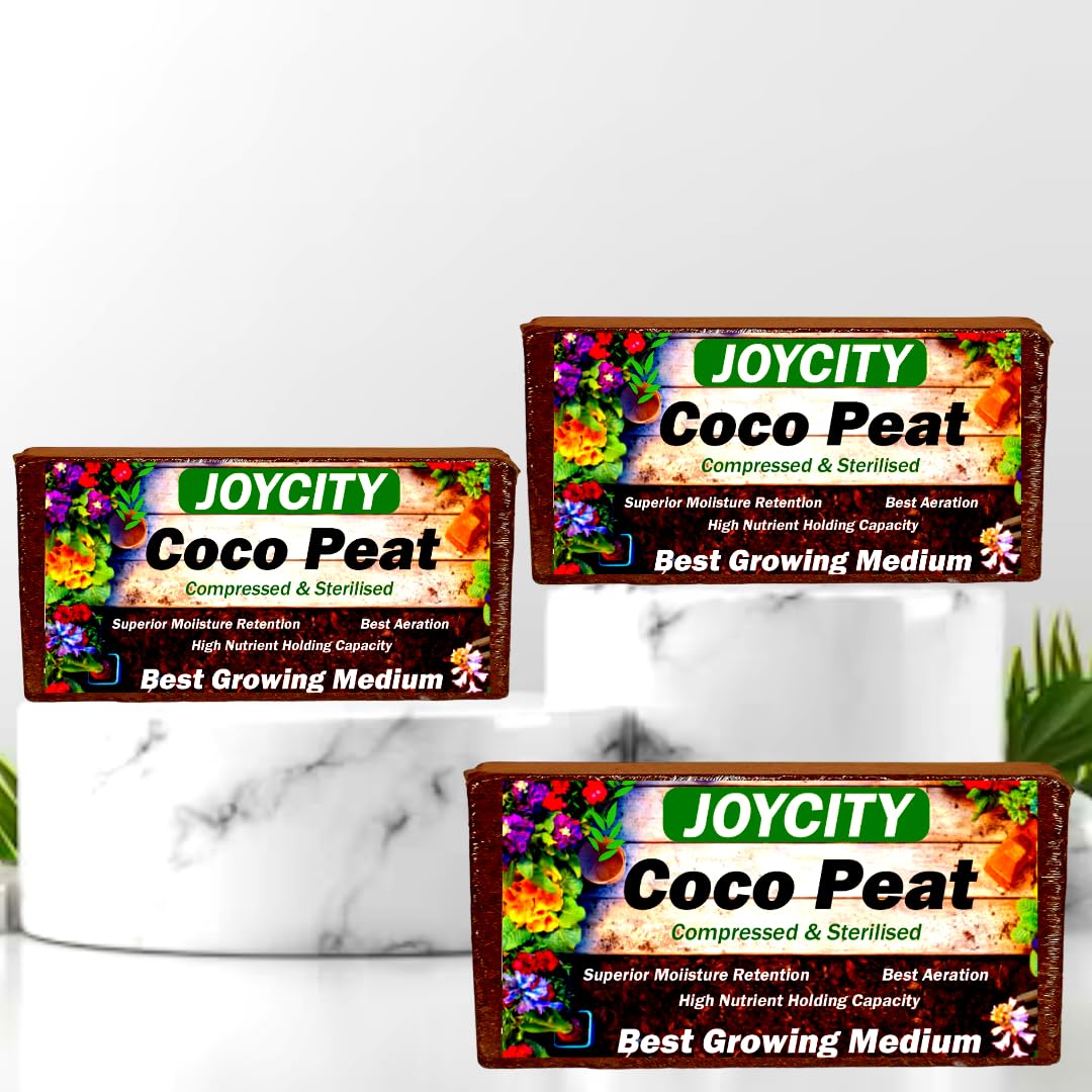 See full amazon price history chart for Joycity Cocopeat for Plants | Cocopeat Block for Home Gardening – Pack of 3 | Expands Upto 10.5kg Cocopeat Powder | Fertilizers for Home Garden | Organic Manure and Compost for Pot Plants Joycity Cocopeat for Plants | Cocopeat Block for Home Gardening – Pack of 3 | Expands Upto 10.5kg Cocopeat Powder | Fertilizers for Home Garden | Organic Manure and Compost for Pot Plants (B0CKZY1MKD) Amazon Price History, Amazon Price Tracker