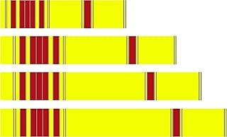 White Water Archery Fluorescent Neon Yellow Red Traditional 1 Arrow Wraps 15Pc (5, 1)