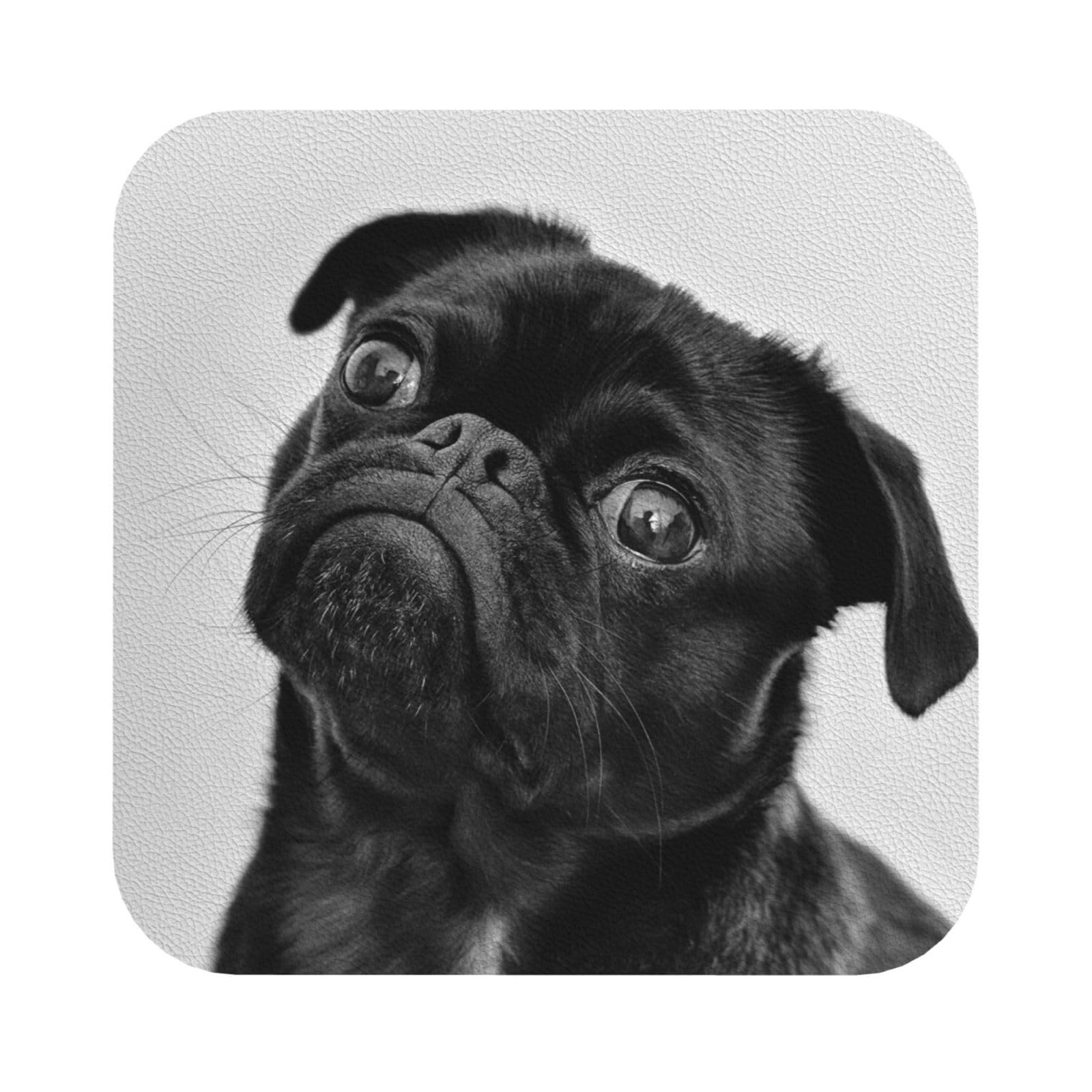 Cute Black Pug Dog PU Leather Coasters Set of 6 Square Drink Coasters