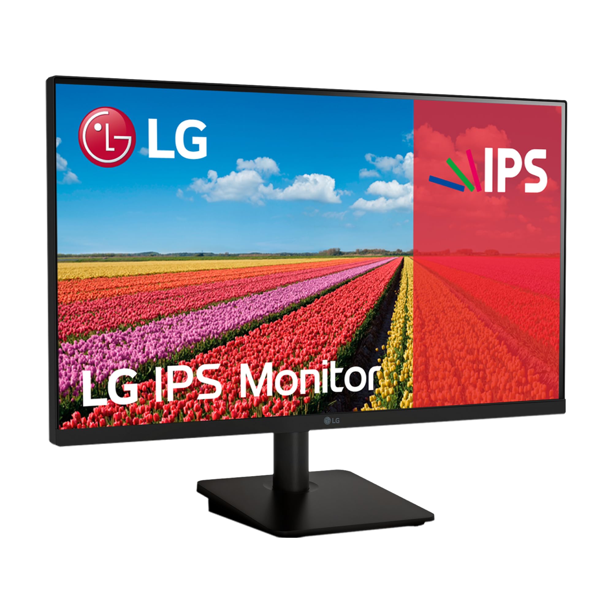 LG 25MS500-B - Monitor 24,5