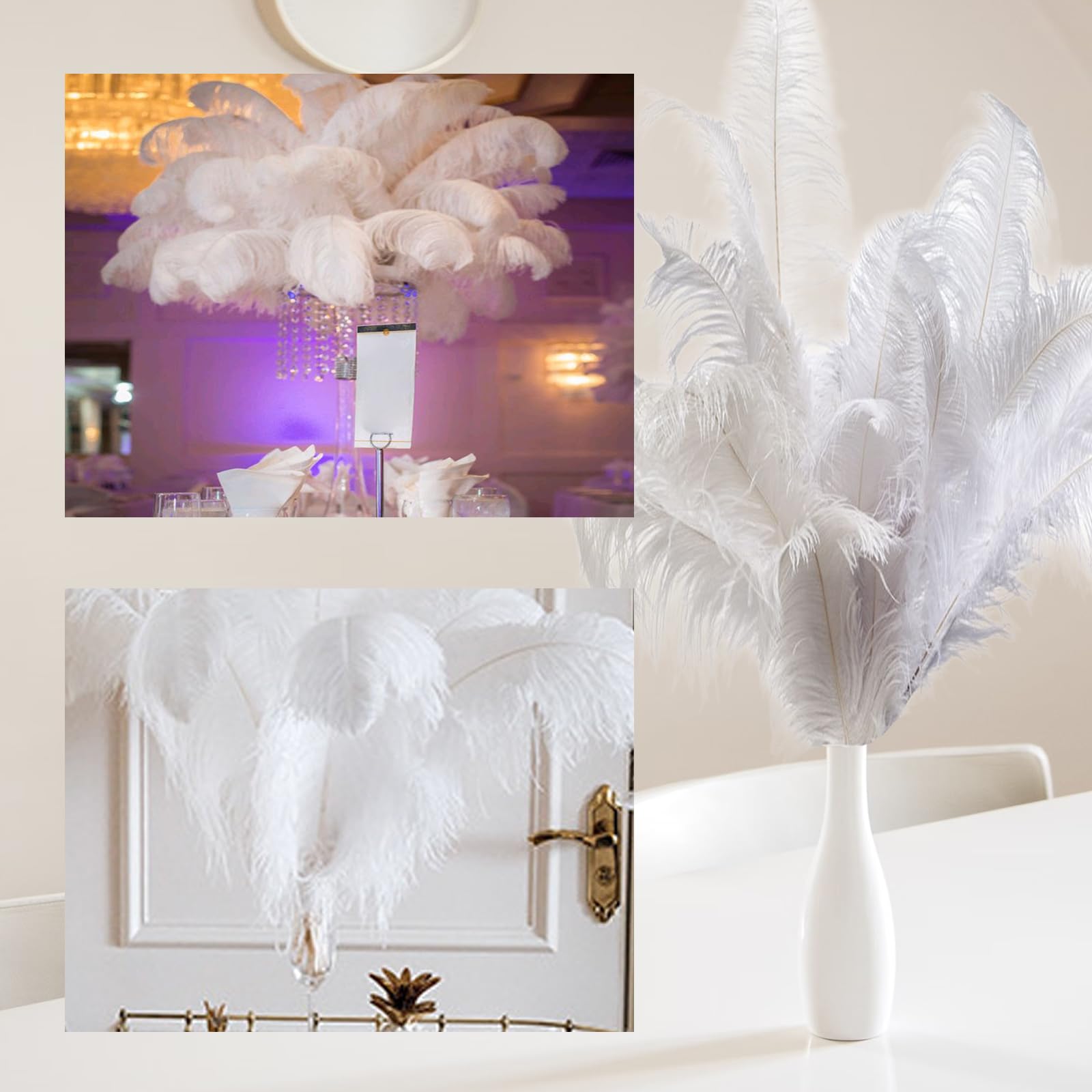 Plumes d'autruche blanches naturelles pour la décoration de Plumes d'autruche blanches naturelles pour la décoration de