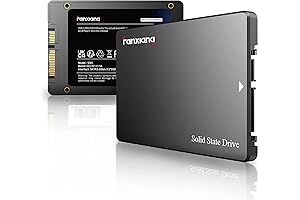S101 256GB neo Forza SSD: SATA III 6Gb/s 2.5" Internal Solid State Drive