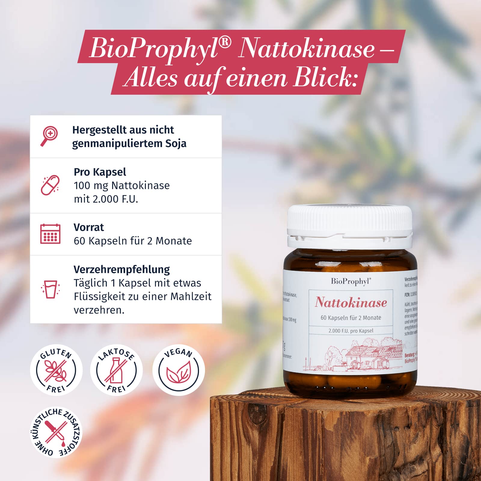 Nattokinase - 2.000 FU - 100 mg Nattokinase - für 2 Monate - 60 vegetarische Kapseln