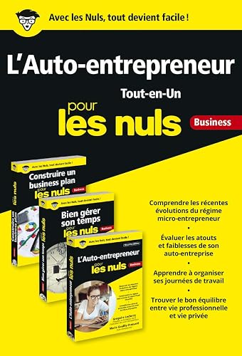 L'auto-entrepreneur Tout-en-Un pour les Nuls: Poche - Business