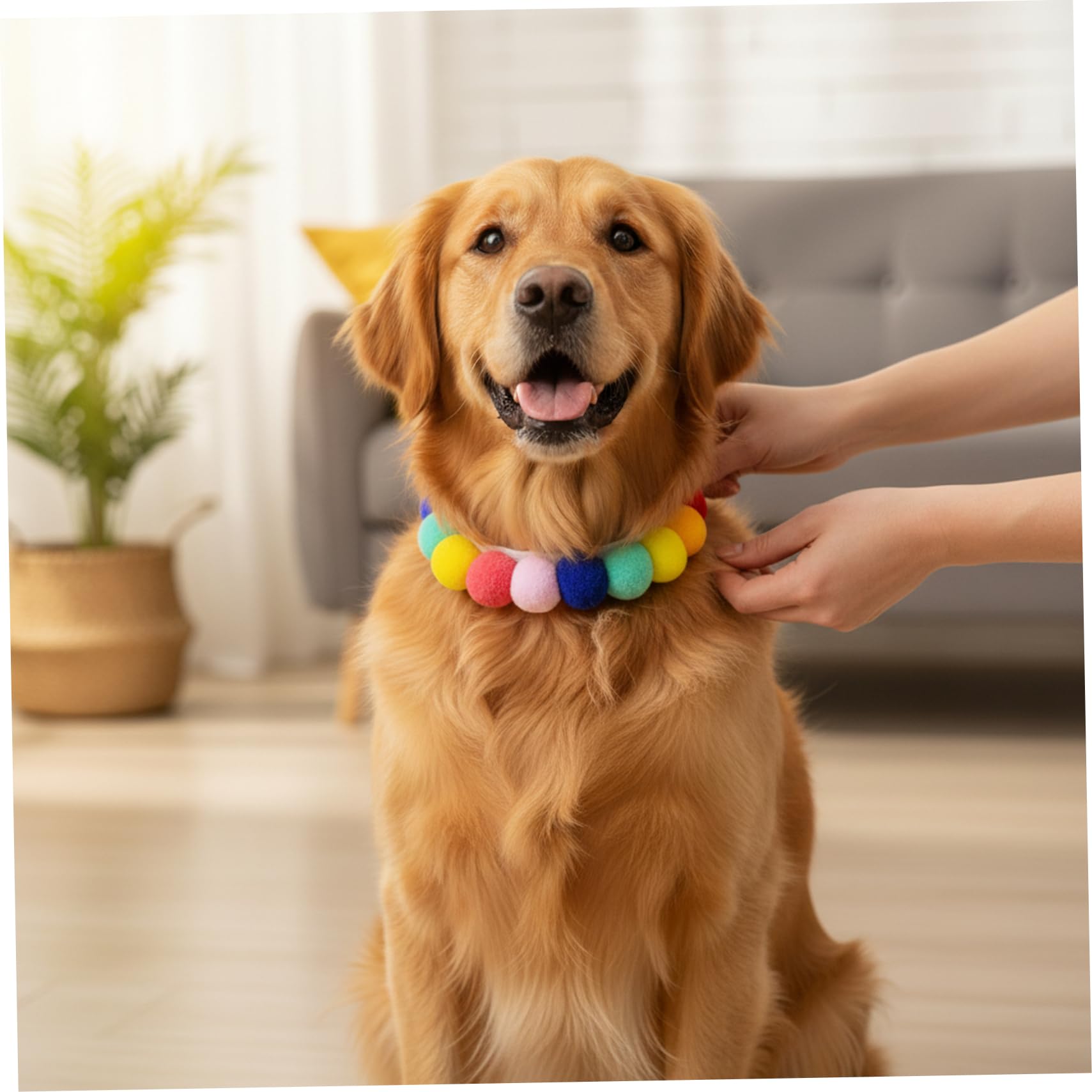 Perlenhalsband für Hunde (50-teilig) verstellbares elastisches Katzenhalsband mit weichem Bommel für kleine Hunde und Welpen modisches Haustierhalsband für Fotos