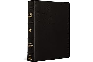 ESV Single Column Journaling Bible, Large Print: Deepen Your Relationship with God...