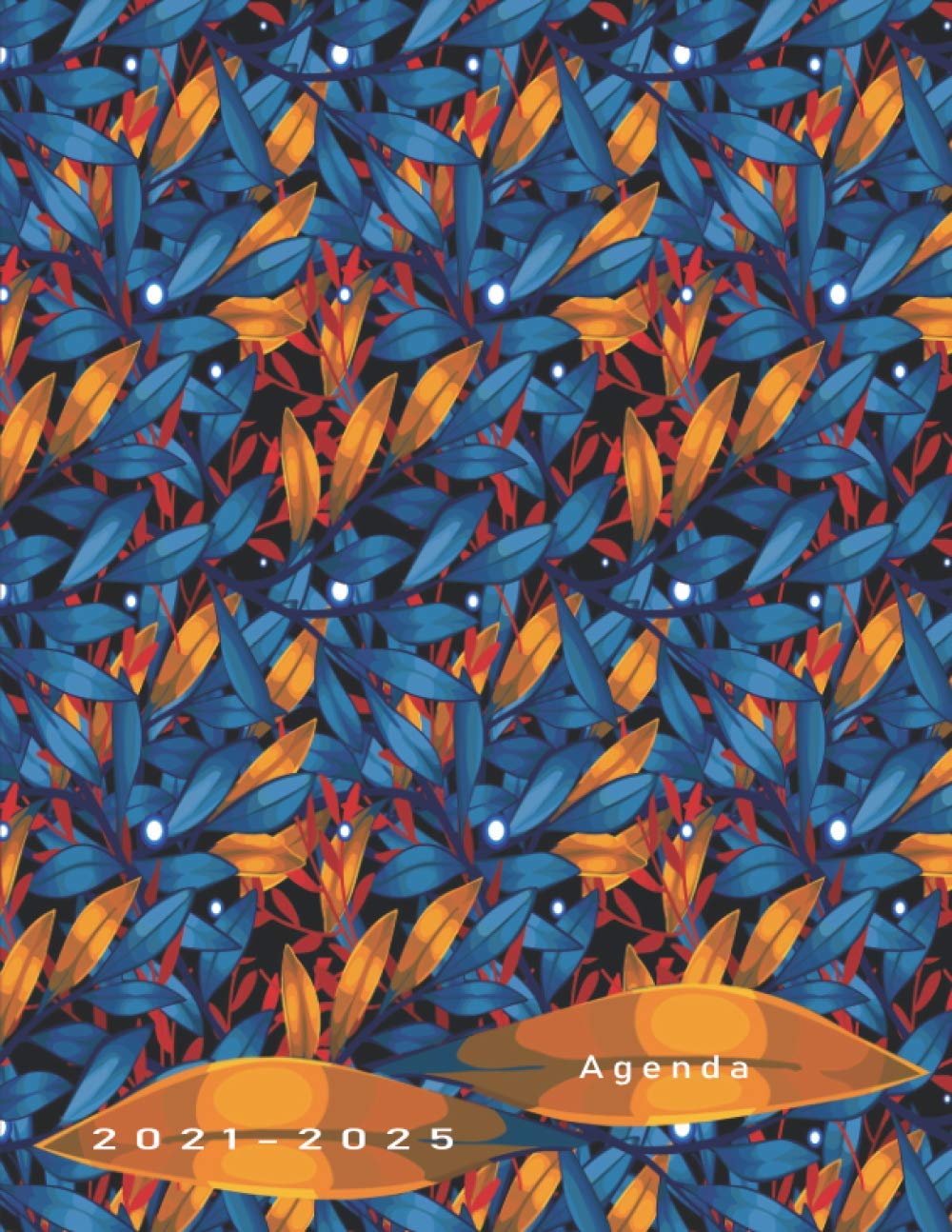 Buy Agenda 2021-2025: 2021 - 2025 | Planificador de 5 años: un