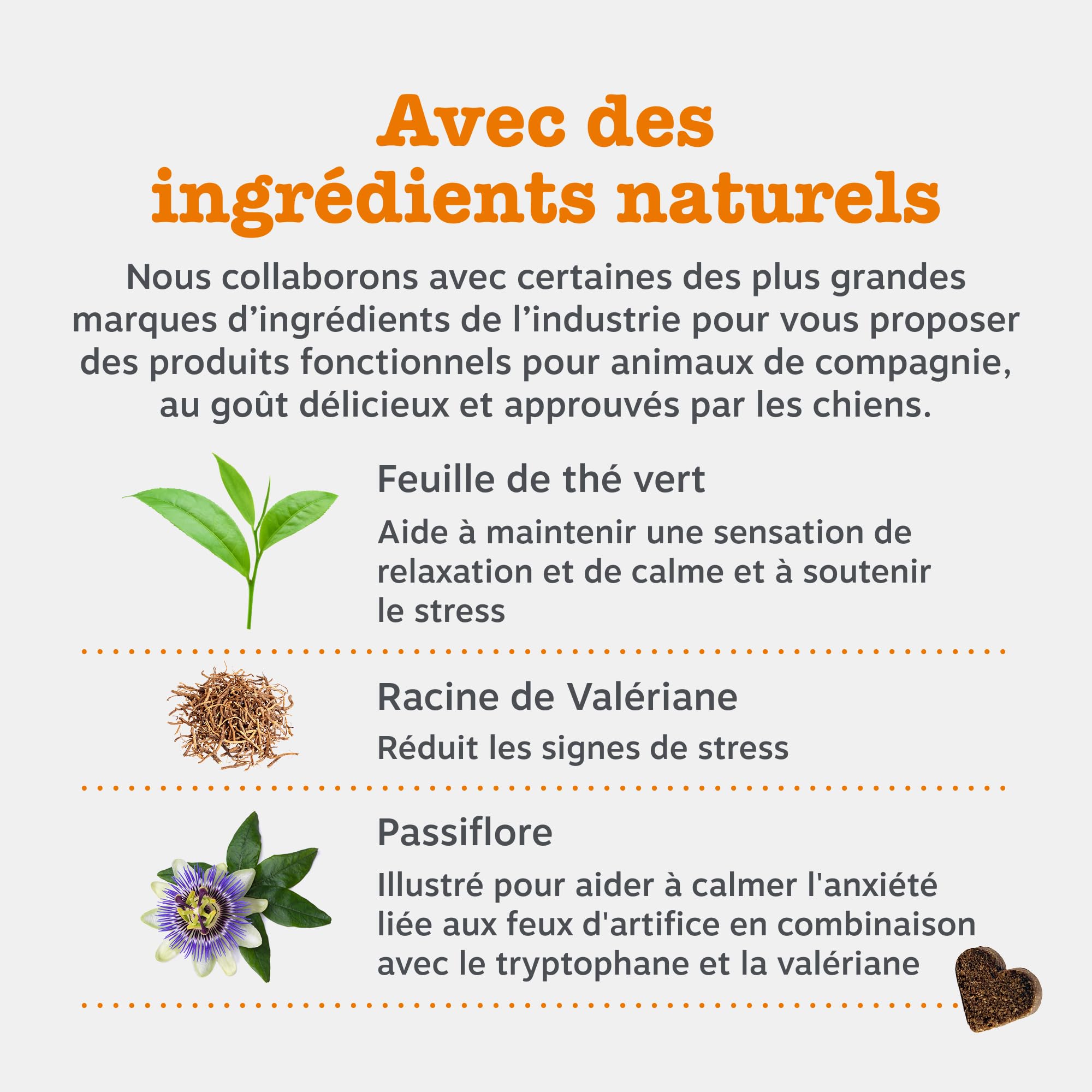 Zesty Paws Bouchées Relaxantes Chien | Calme, Détente et Bien-être | Contre Le Stress, Hyperactivité et Anxiété de Séparation | Thé Vert, Ashwagandha, L-Tryptophane | Usage Quotidien | 90 Bouchées