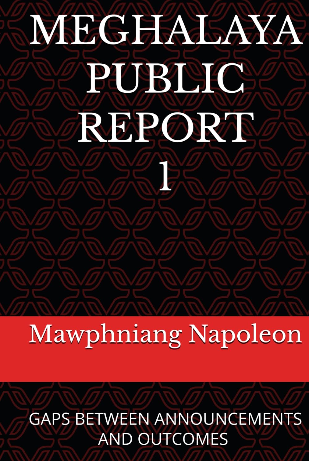 MEGHALAYA PUBLIC REPORT 1: GAPS BETWEEN ANNOUNCEMENTS AND OUTCOMES