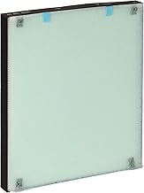 Bissell Replacement HEPA Filter and Pre Filter for the BISSELL air400, 2521 , Blue