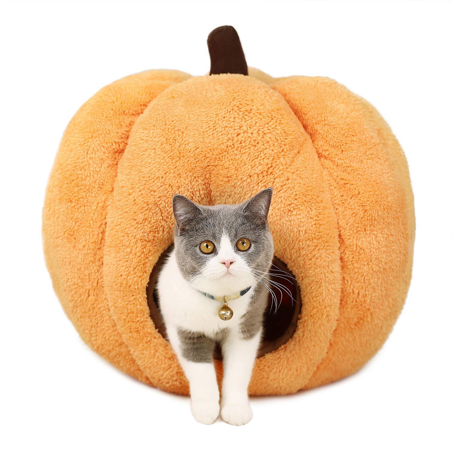pumpkin cat bed