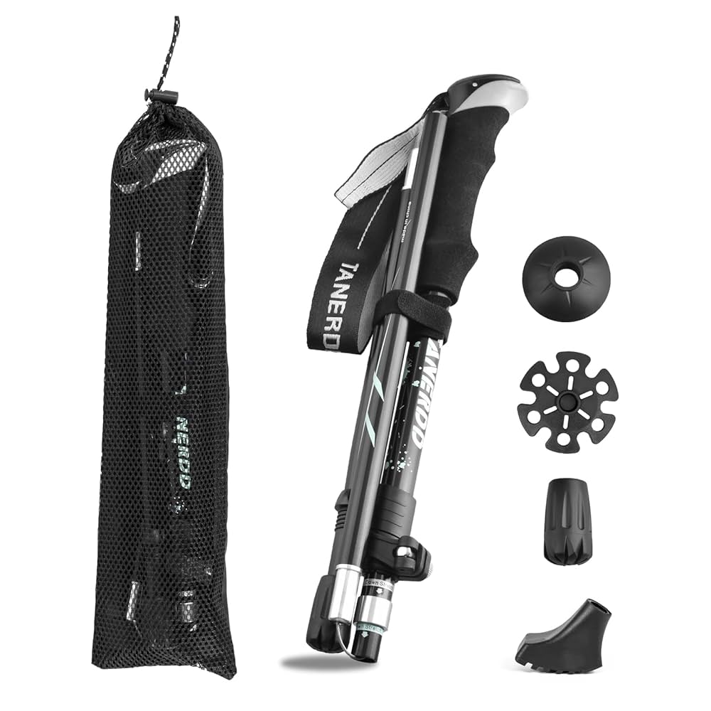 オリーブ☆ 小倉園 オリーブ・I-77(アイ・セブン・セブン) 8号鉢 オリーブの