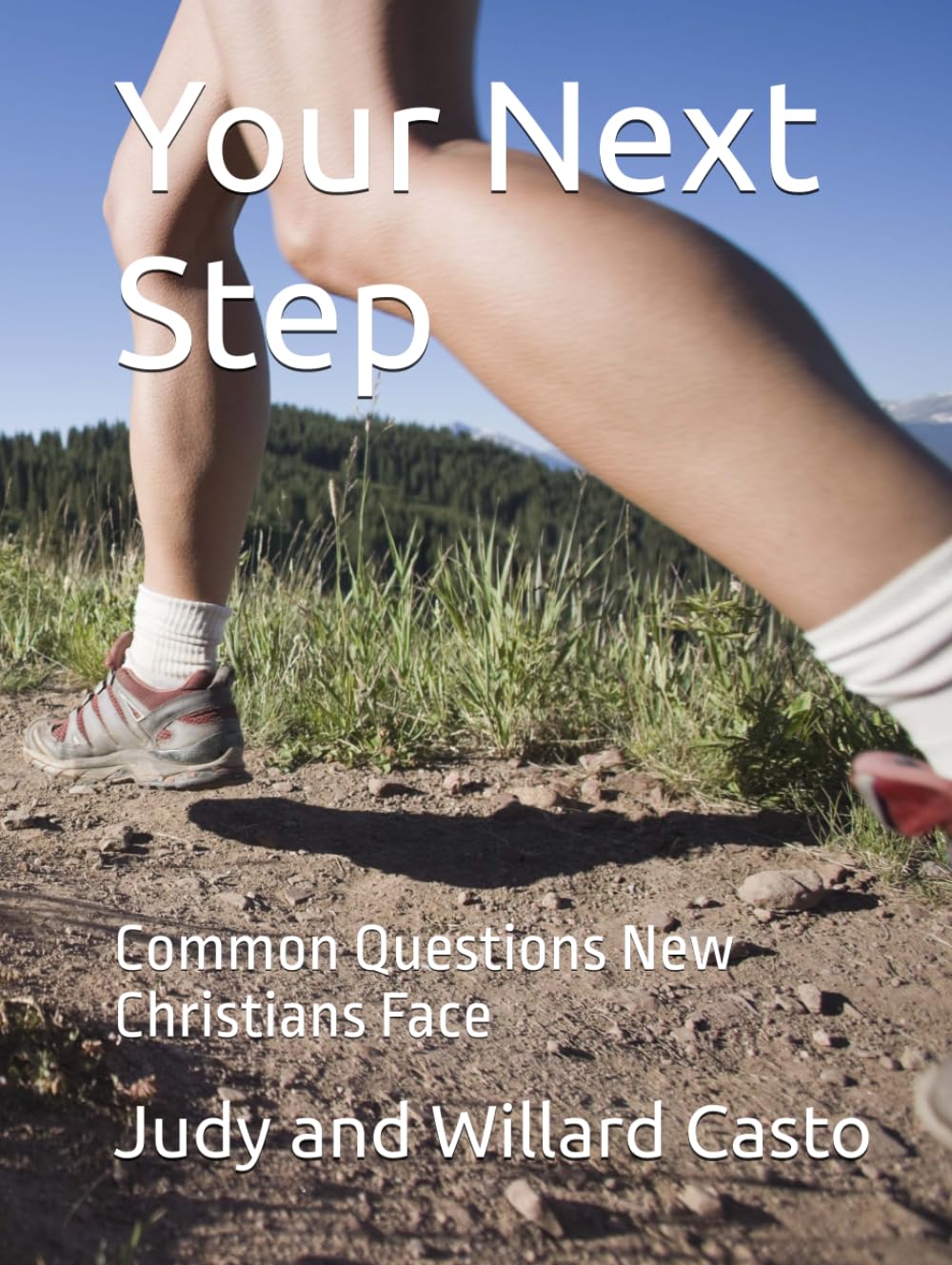 Your Next Step: Common Questions New Christians Face (New Christian Discipleship)