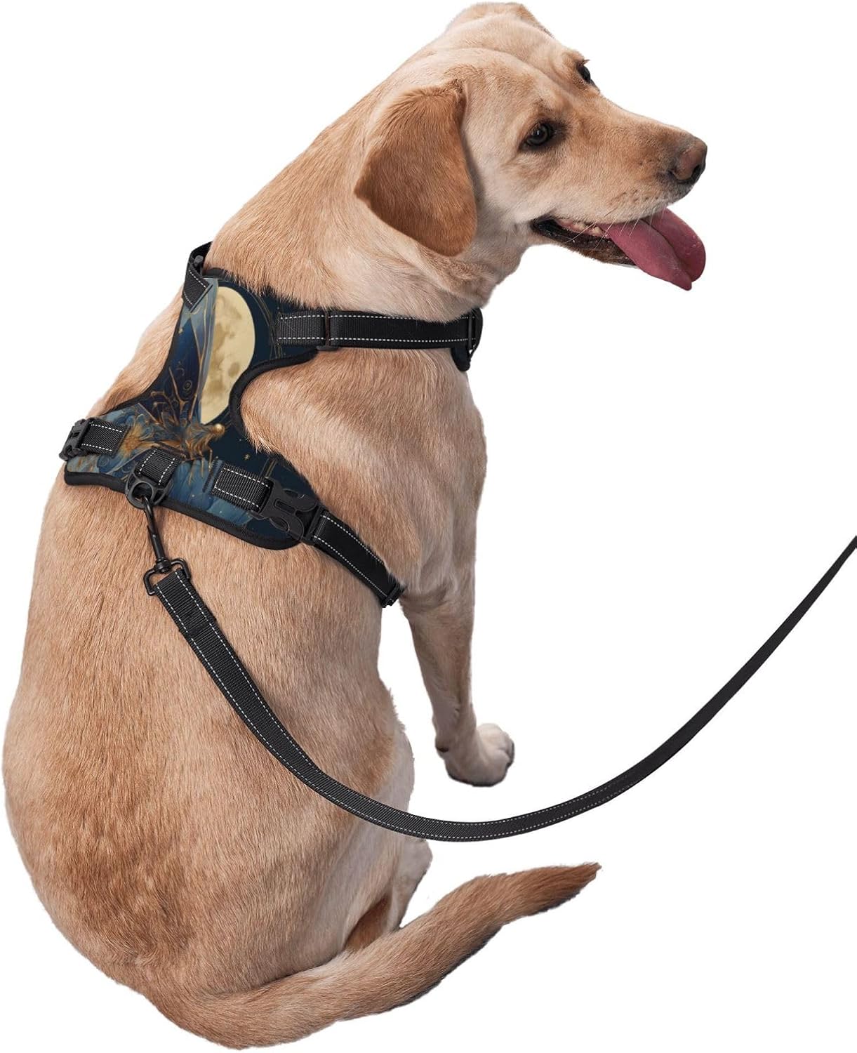 Dog Harness for X-Large Dogs with Leash No Pull 2 Leash Clips, Adjustable Soft Moon Golden Butterfly Dog Vest Set X-Large Size