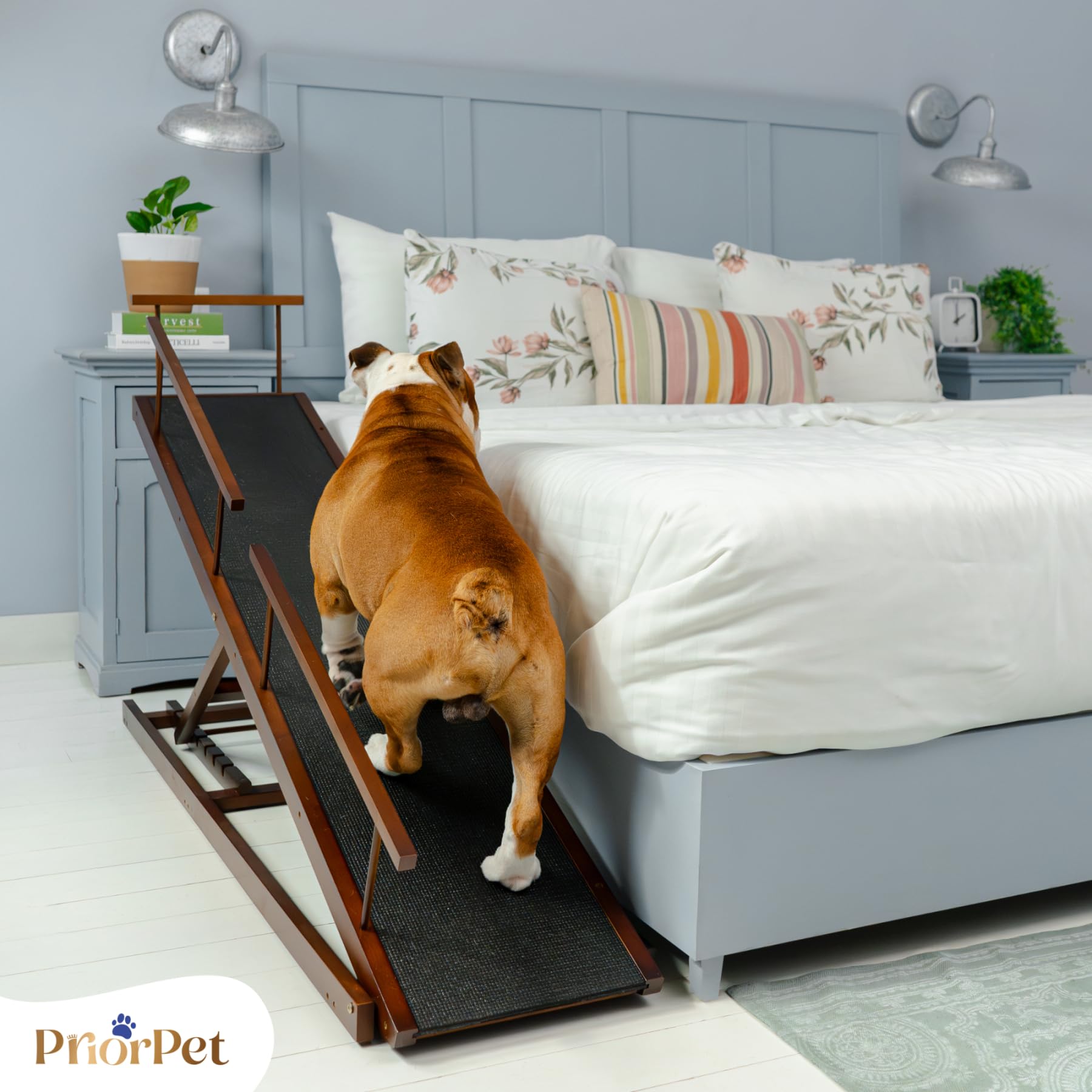 Rampa para Perros para Cama con Rieles de Seguridad PRIORPET - Madera de Abedul - Ajustable - para Camas Altas de hasta 94.5 cm - Plegable - Agarre Antideslizante - para Perros de hasta 23kg - Nuez