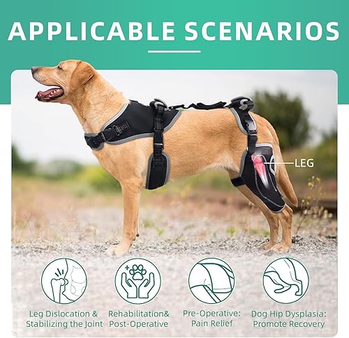 Miniatura 26 de Rodillera para perro para lesiones de ACL/CCL, ligamento desgarrado, rótula luxante, soporte de pierna trasera, alivio del dolor, calor