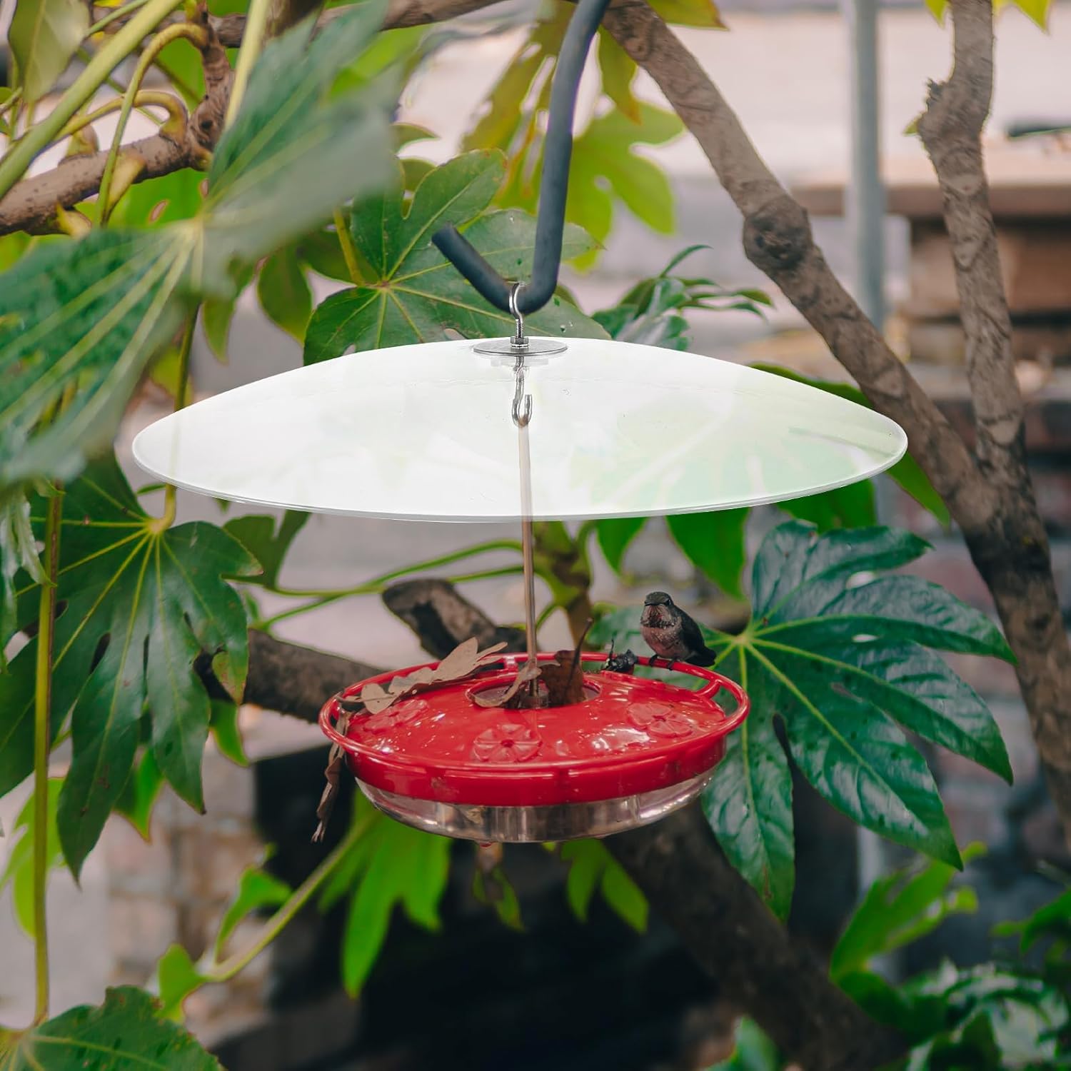 Amosfun Feeder Cover Plastic Fence Clear Hooks Outdoor Hooks Feeder Dome Cover Hanging Feeder Protector Feeder Weather Squirrel Feeder Feeder Part Birds