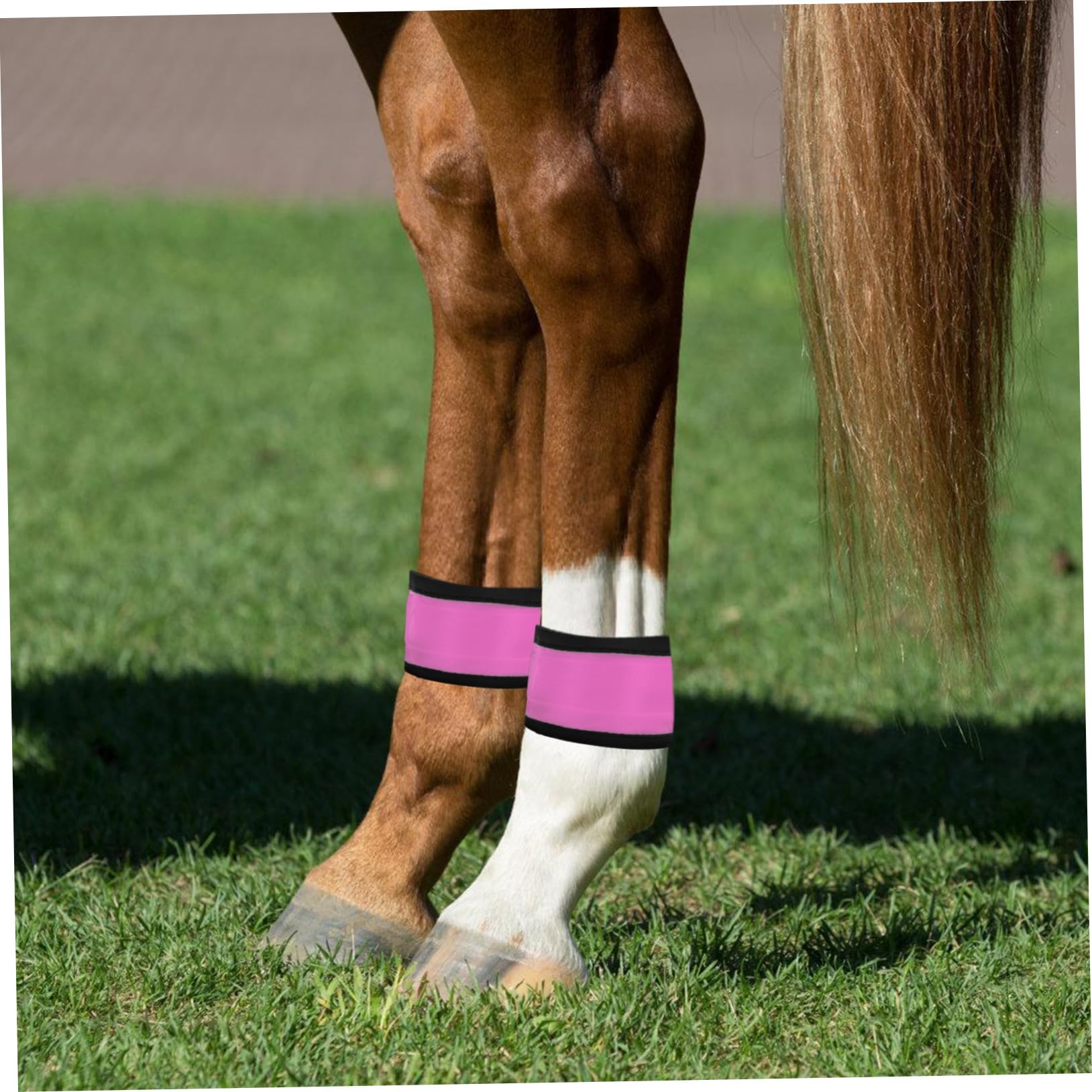 COLLBATH 4 Stück Leuchtendes Pferdebeinband aus Stoff Pferde Zubehör mit Hoher Sichtbarkeit und Verschleißfest für Sicheres Reittraining und Outdoor Aktivitäten
