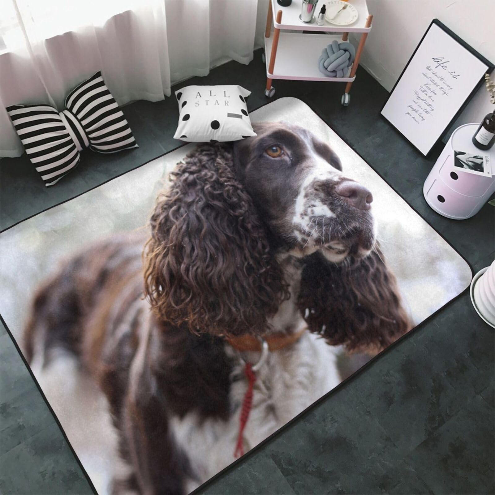 Englischer Cocker Spaniel, braun-weiße lockige Hunde, Großer Teppich, rutschfeste Fußmatte für Wohnzimmer und Schlafzimmer, 150 x 100 cm