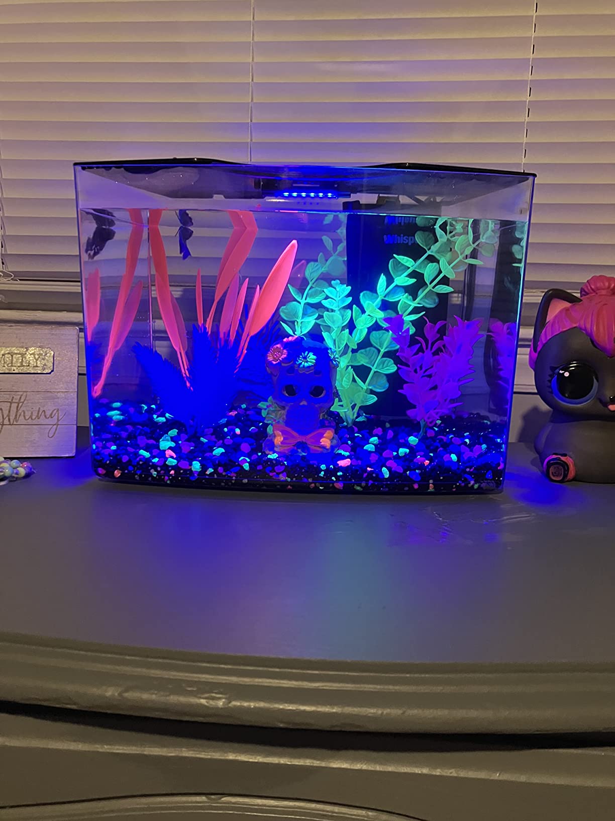 8/mo Finance GloFish Aquarium Kit w/Hood, LED Lights and Whisper