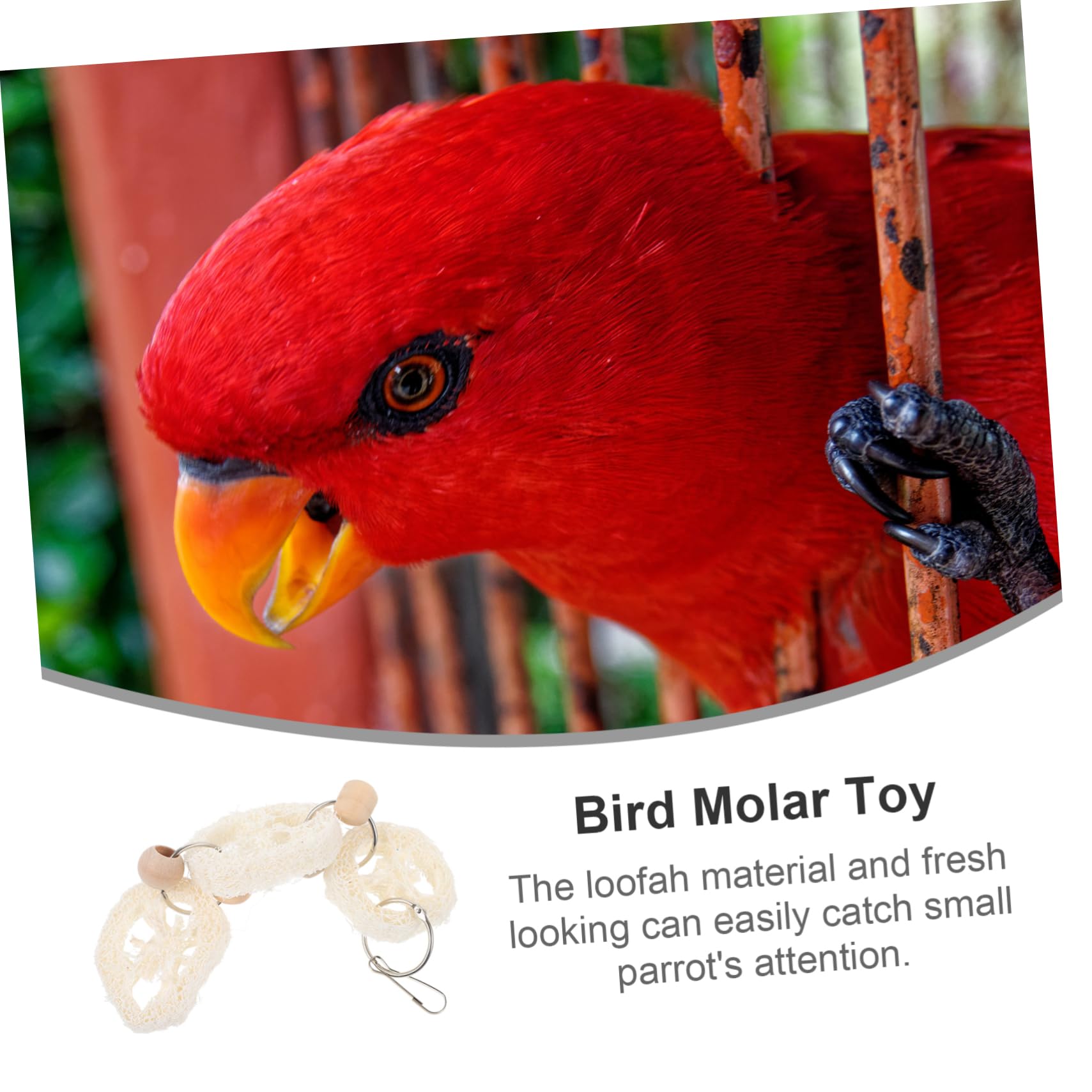 Kisangel Natural Loofah Parrot Chew Hanging Molar for Birds Relief and Care for Parakeets Cockatiels Budgies and More