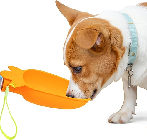 Li & Zhao Dispensador portátil de botella de agua para perros, a prueba de fugas, tazón de agua portátil para perro, cuenco de agua plegable de