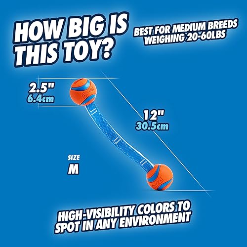 Miniatura 9 de ChuckIt! Juguete para perro ultra tirón