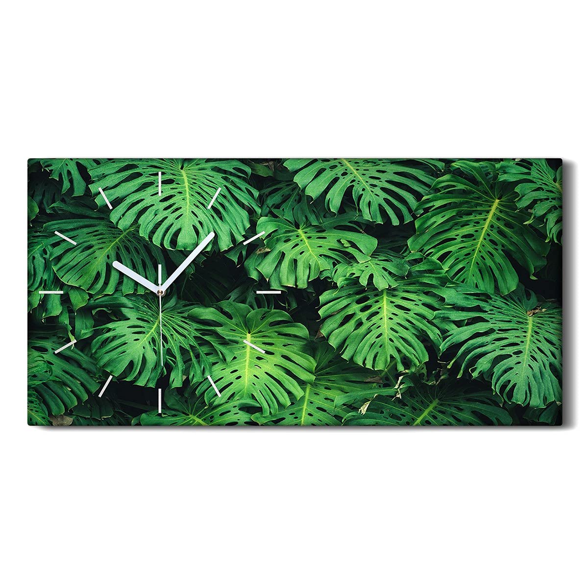 Pendule Silencieuse Monstera 60x30cm sans Tic-Tac pour Chambre