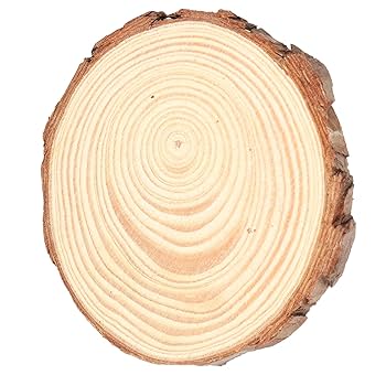 12個 恐竜の足跡 木製スライス 木材チップ 木製パレットコースター 厚3mm 12個 恐竜の足跡 木製スライス 木材チップ 木製パレット