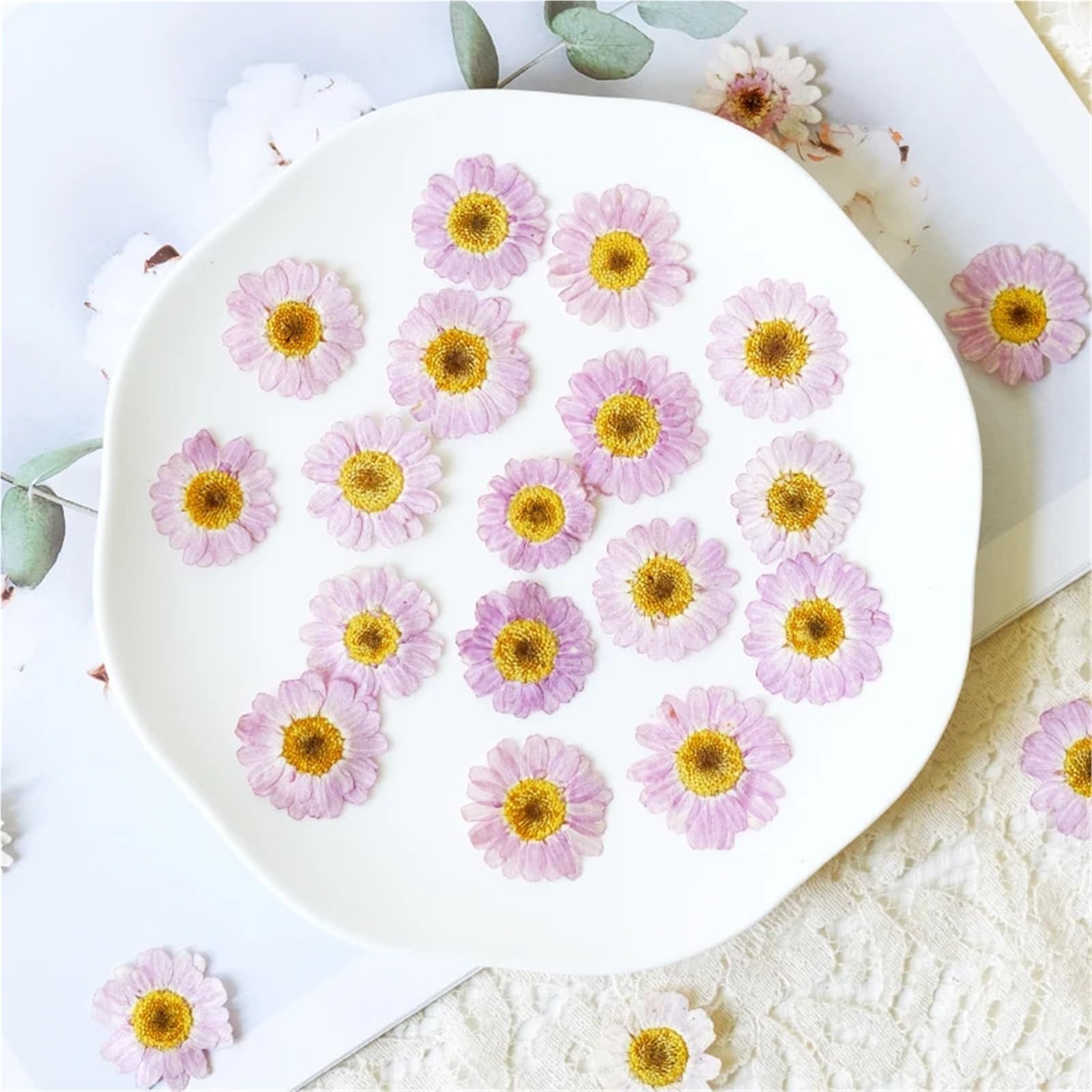 Flores Secas Prensadas 5 Bolsas de Flores secas en Relieve DIY