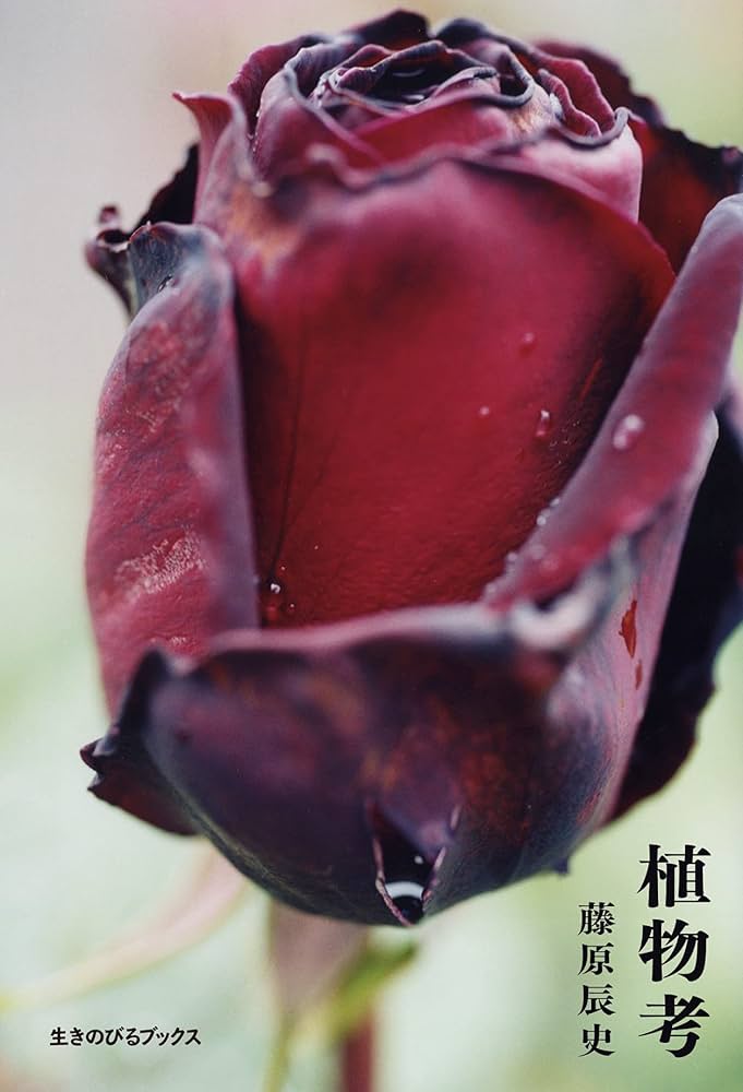 植物生態学論考 足元で起きる進化」の波及効果―たった1種の形態進化が植物群集の