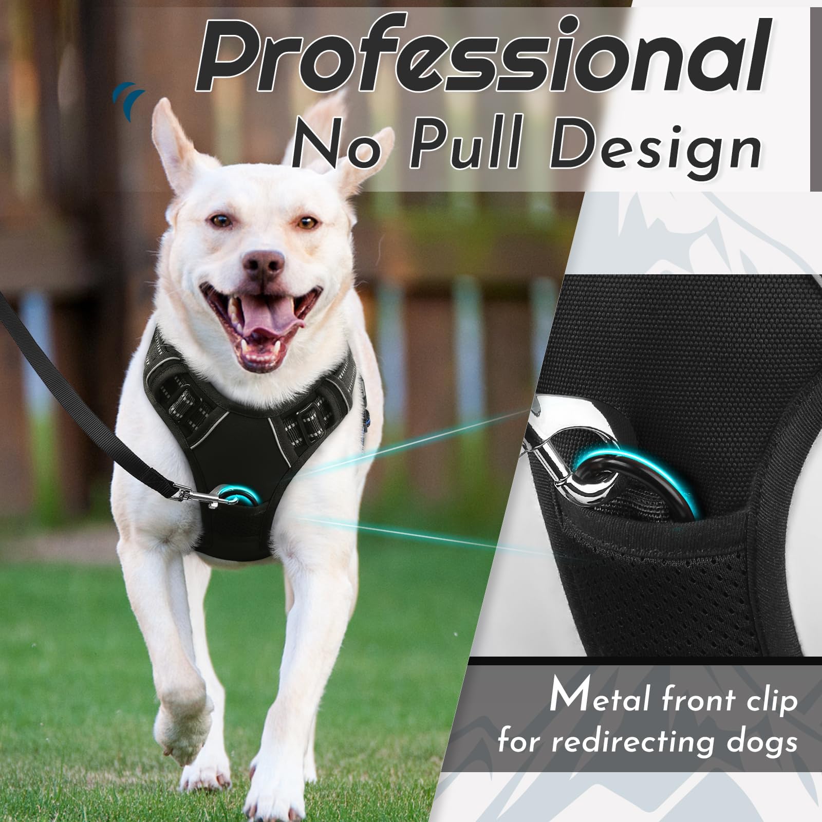 Eagloo Pettorina Cane Taglia Media, Pettorina ad h Antifuga, Imbracatura per Cani Anti Tiro con Doppio Gancio, Imbracatura Robusto e Regolabile per Addestramento Passeggiate, M, Nera