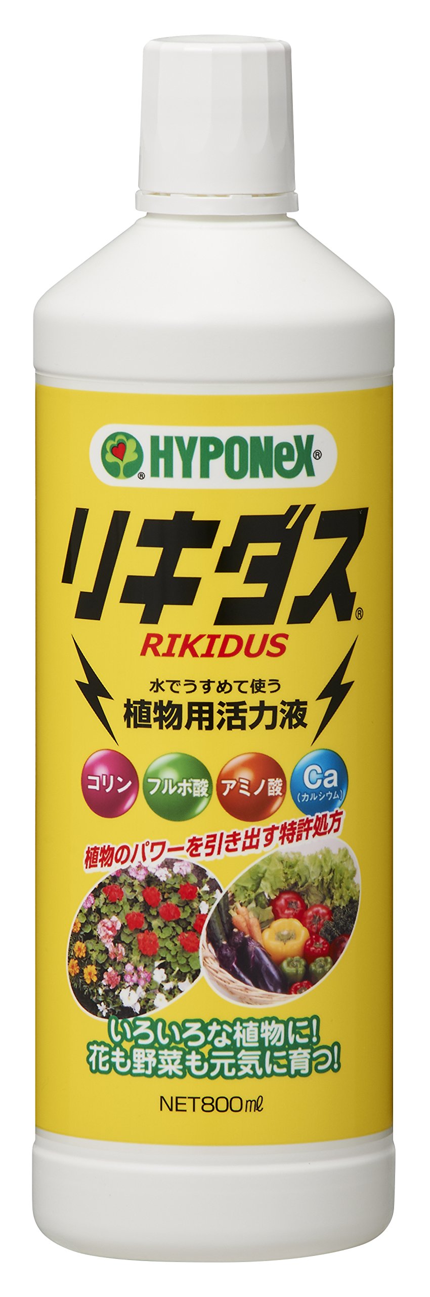 Amazon.co.jp: ハイポネックス リキダス 800ml & 原液 800ml【セット