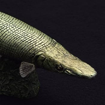 ハンドメイド　61cmガー　マンファリ　フィギュア　レプリカ　古代魚　水族館 imgrc0069677970.jpg