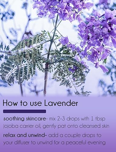 Miniatura 8 de Aceite esencial de lavanda 40-42 - Botella de aluminio de 16 fl oz (16.0 fl oz) con tapa de tapón - Aceite esencial 100% puro - GreenHealth