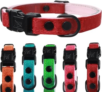 OutdoorBengal Durable Breakaway Cat Collar, No Bell (5-Pack) | Quick release safety clasp, tactical fabric exterior, soft padded comfort, medium to large fit, boy or girl everyday wear