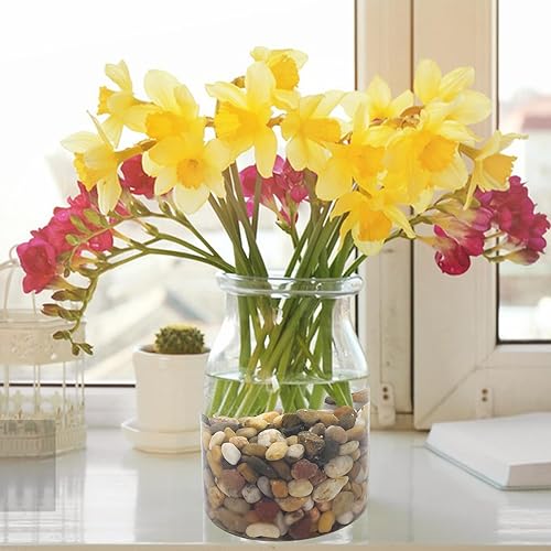 Miniatura 9 de Grava de acuario, grava de guisantes para pecera, guijarros decorativos para plantas, jarrón suculento, fuentes de agua de interior y paisajismo al