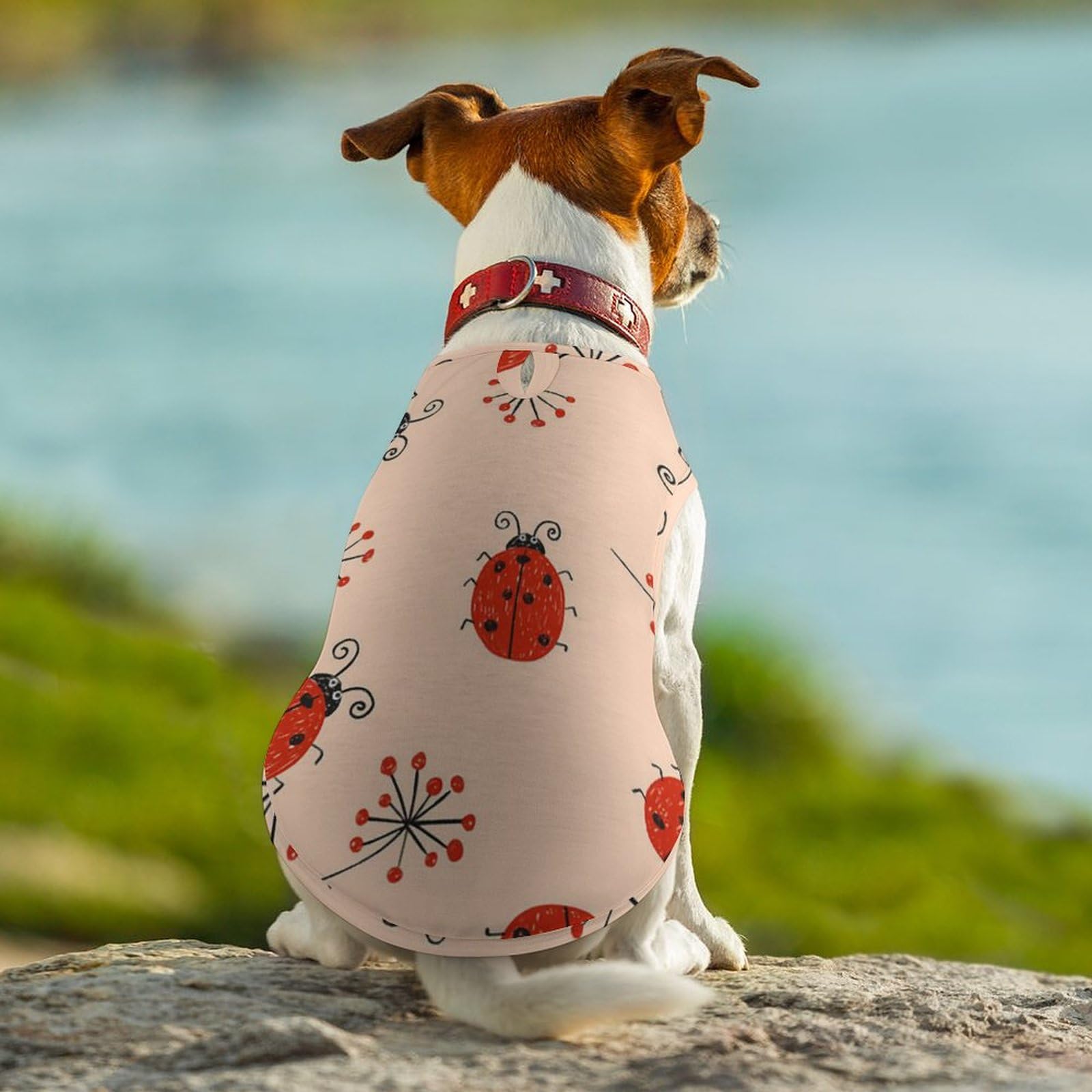 Amazon | ペット服 Tシャツ ドッグウェア タンクトップ 赤い てんとう