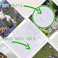 Vista 1462 de Razas de Perros 2017