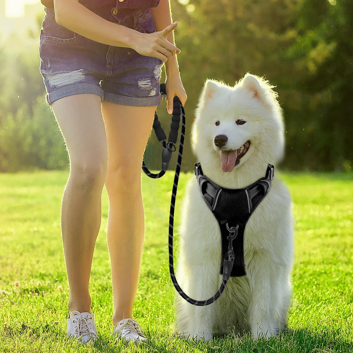 BARKBAY Dog Harness No Pull with ID Tag Pocket - Heavy Duty, Reflective, Easy Control for Small Dogs(Black,S)