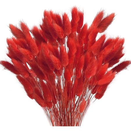 XHXSTORE 120pcs Bunny Tails Dried Flowers Natural Lagurus Ovatus Red Pampas Grass Dried Flowers Bulk for Valentine's Day Home Wedding Table Party Farmhouse Decor (17")