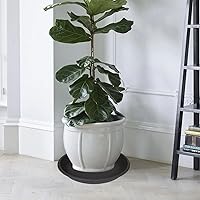 Vista 42 de 5 Packs Plant Saucer Pot Tray 6 8 10 12 14 16 19 20 Inch Plastic Flower Planter Saucers and Drip Trays for Indoors Outdoors, Heavy Durable Plant