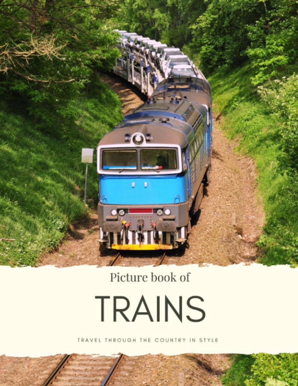 Picture Book of Trains: for Alzheimer’s and Seniors with Dementia- Colorful Photos with Large Print for Elderly People or to Help them Feel Calm (Nostalgia Coffee Table Books)