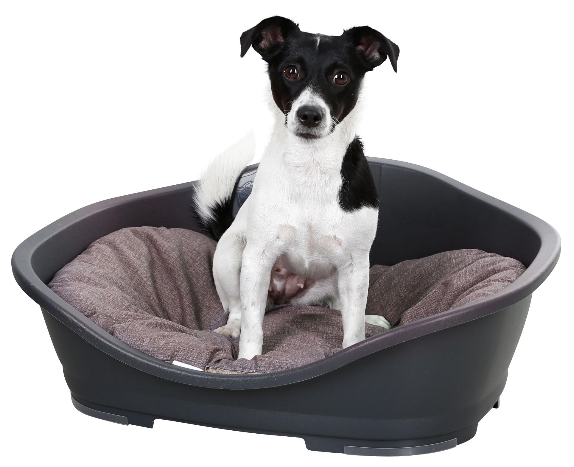 Kerbl Pet Cojín para Perros Loneta, Beige/Gris, 105 x 73 cm. Cojín para Mascotas de algodón/poliéster Resistente, Lavable a 30 °C.