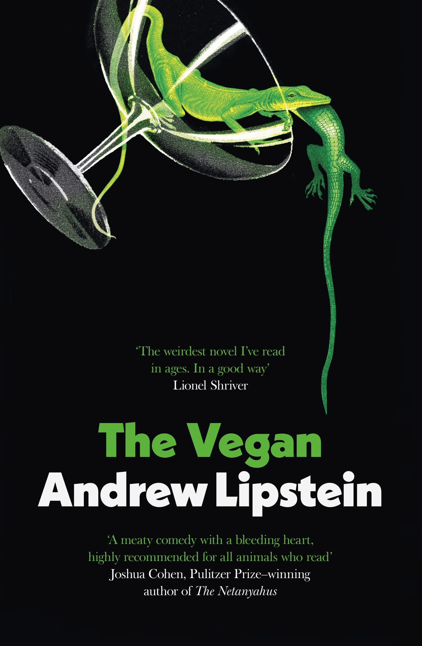 The Vegan by Andrew Lipstein - 9781399602594