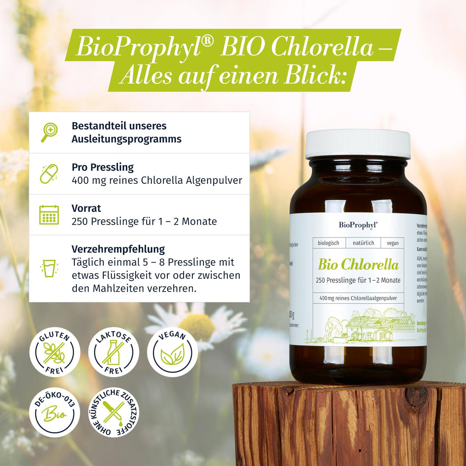 BIO Chlorella 500-400 mg Chlorella Algenpulver aus kontrolliert biologischem Anbau - 500 Presslinge als Zwei-Monatsration