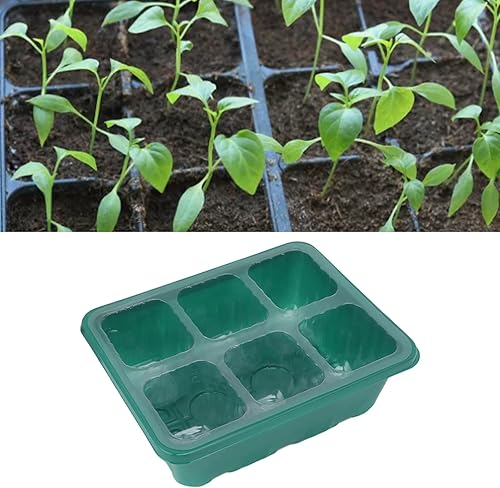 Miniatura 2 de TOPINCN Seed Starter Tray, Garden Seedling Tray Transparent Cover Botton Drain Hole for Horticulture (6 Holes)