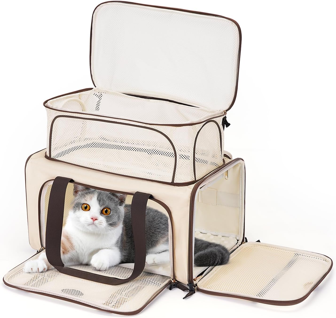 Airline-Approved Soft-Sided Pet Carrier for Cats & Small Dogs Airline-Approved Soft-Sided Pet Carrier for Cats & Small Dogs