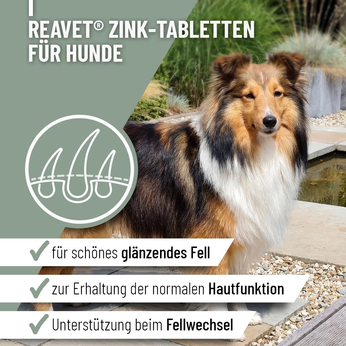 Comprimés de Zinc ReaVET pour Chiens 120 pièces - Haute Dose de vitamines C et E - comprimés de Zinc Plus vitamines pour Peau sèche, Perte de Poils