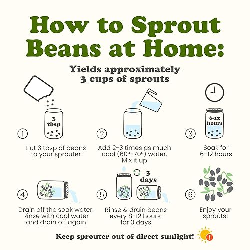 Miniatura 8 de Mezcla crujiente orgánica de granos germinantes, 1 libra, sin OMG, kosher, no irradiada, vegana, cruda, seca, a granel, guisantes verdes orgánicos,